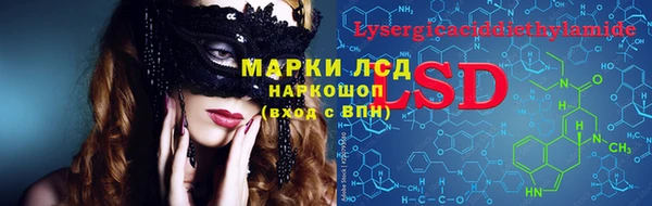 прущий лед Новозыбков