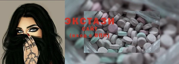 ECSTASY Няндома
