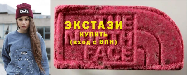 ECSTASY Няндома