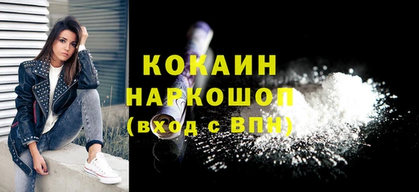 прущий лед Новозыбков