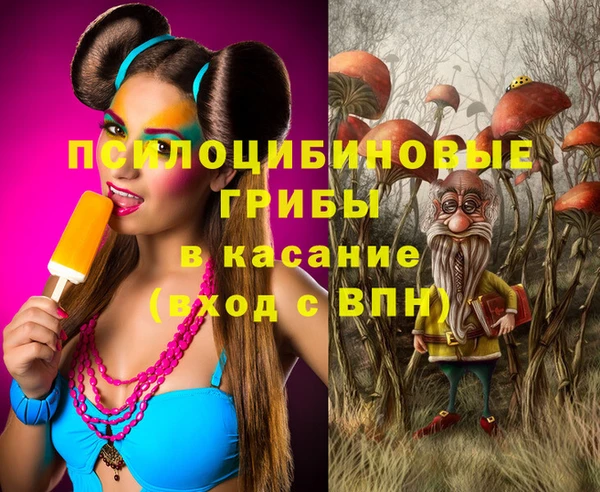 ECSTASY Няндома